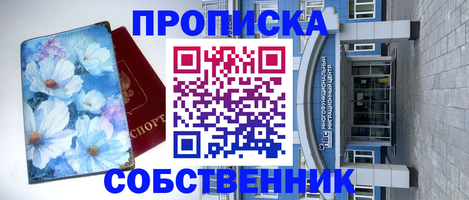 прописка 2025 в Электрогорске