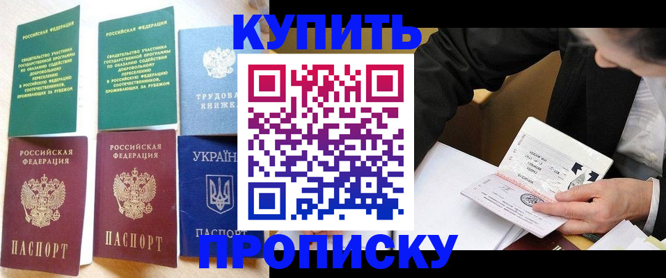 прописка для школы в Электрогорске